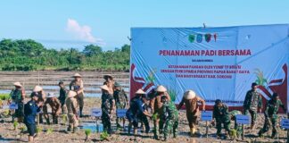 Yonif TP 806/SI Penggerak Swasembada Pangan Sasaran 14 Hektar Kabupaten Sorong