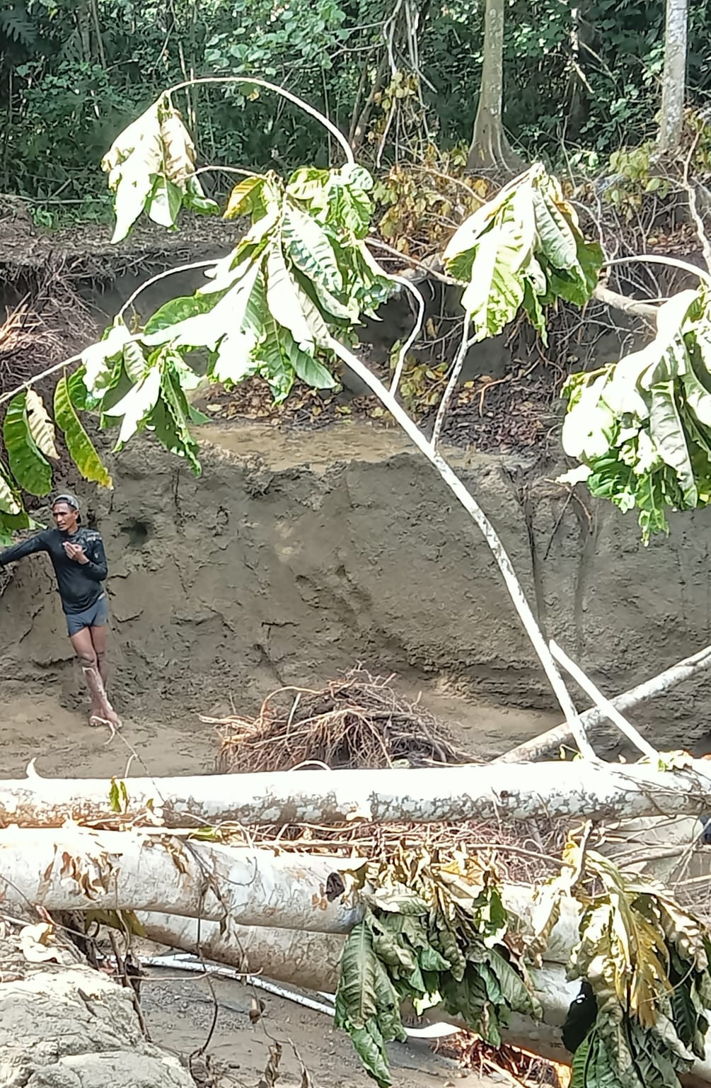Aktivitas pertambangan diduga telah berlangsung cukup lama