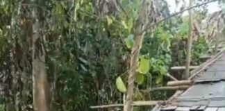 Pemda Masuk Angin, Aktivitas PETI Tambrauw Papua Barat Daya Marak Jadi Rebutan