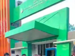 BKSDA Bakar Mahkota Cenderawasih Bentuk Penghinaan Terhadap Simbol Adat dan Identitas Masyarakat Papua