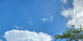 Atlet Polres Raja Ampat Raih Juara III di Kapolda Cup III Archery Open Tournament 2025 Atlet Polres Raja Ampat Raih Juara III di Kapolda Cup III