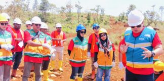 Puluhan jurnalis Papua Barat Daya pun mendapat kesempatan melakukan penanaman pohon di areal reklamasi pertambangan PT Gag Nikel