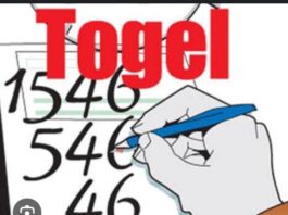 Puncak Jaya Mulia Papua Tengah Pesta Togel, Bandar Terbesar di Terus Beraksi