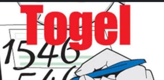 Puncak Jaya Mulia Papua Tengah Pesta Togel, Bandar Terbesar di Terus Beraksi