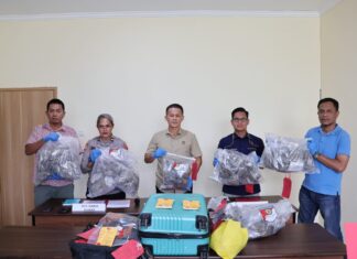 Narkotika Incar Generasi Muda Kota Sorong, Polda PBD Bekuk Jaringan dari PNG