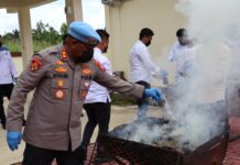 Narkoba Dimusnakan Kepolisian Daerah Papua Barat Daya