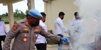 Narkoba Dimusnakan Kepolisian Daerah Papua Barat Daya