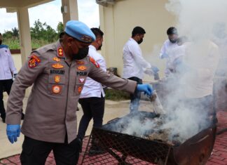 Narkoba Dimusnakan Kepolisian Daerah Papua Barat Daya