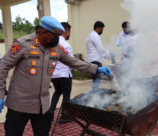 Narkoba Dimusnakan Kepolisian Daerah Papua Barat Daya