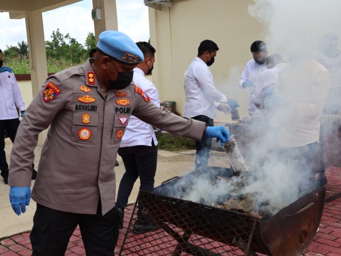 Narkoba Dimusnakan Kepolisian Daerah Papua Barat Daya