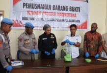 Ditresnarkoba Polda PBD Memberantas Peredaran Gelap dan Penyalahgunaan Narkotika Direktorat Reserse Narkoba (Ditresnarkoba) Polda Papua Barat Daya, memberantas peredaran gelap dan penyalahgunaan narkotika. Bahkan telah melaksanakan pemusnahan barang bukti narkotika jenis sabu
