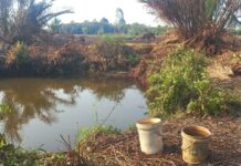 Warga Sorong Bertahan Hidup Mengkonsumsi Endapan Air Rawa dan Lubang Galian Alat Berat