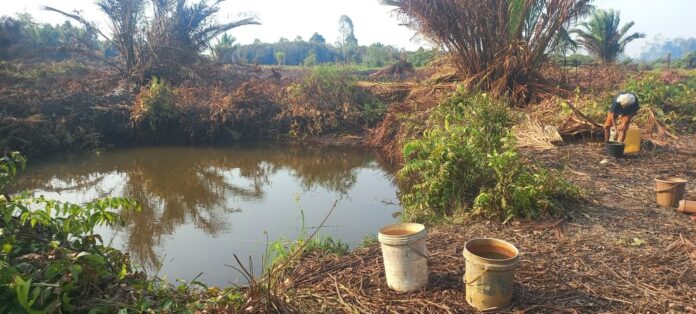 Warga Sorong Bertahan Hidup Mengkonsumsi Endapan Air Rawa dan Lubang Galian Alat Berat