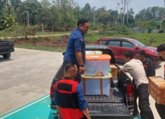 Kejati Geledah Kantor Balai Penegakan Hukum (Gakkum) Kementerian Lingkungan Hidup dan Kehutanan (KLHK) Wilayah Maluku dan Papua Kejati Geledah Kantor Balai Penegakan Hukum (Gakkum) Kementerian Lingkungan Hidup dan Kehutanan (KLHK) Wilayah Maluku dan Papua