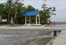 KNMP Doubo Disiapkan Menjawab Kendala Pasar dan Biaya Logistik Nelayan Supiori KNMP Doubo Disiapkan Menjawab Kendala Pasar dan Biaya Logistik Nelayan Supiori