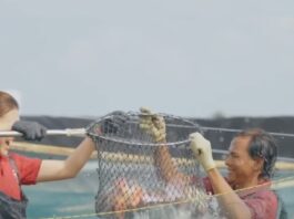 KNMP Bakaro dan Harapan Nelayan: Pasar yang Adil Sejahterakan Keluarga Pesisir