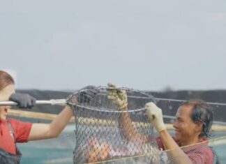KNMP Bakaro dan Harapan Nelayan: Pasar yang Adil Sejahterakan Keluarga Pesisir KNMP Bakaro dan Harapan Nelayan: Pasar yang Adil Sejahterakan Keluarga Pesisir