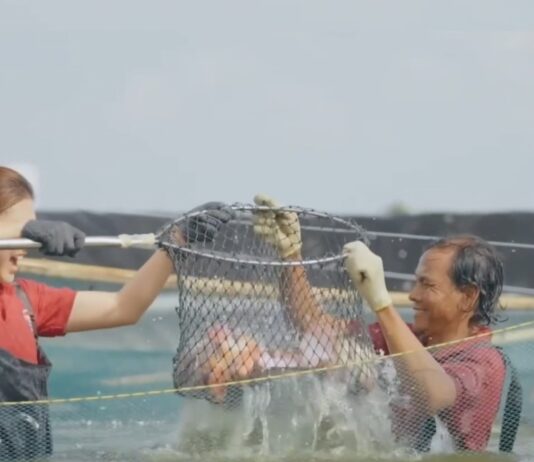 KNMP Bakaro dan Harapan Nelayan: Pasar yang Adil Sejahterakan Keluarga Pesisir KNMP Bakaro dan Harapan Nelayan: Pasar yang Adil Sejahterakan Keluarga Pesisir