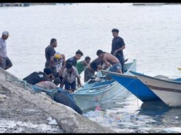 KNMP Jadi Wadah Nelayan, Pendataan Dinilai Penting agar Bantuan Lebih Tepat Sasaran KNMP Jadi Wadah Nelayan, Pendataan Dinilai Penting agar Bantuan Lebih Tepat Sasaran