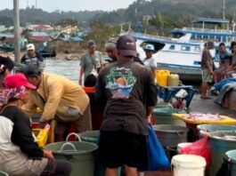 Menjaga Nilai Hasil Tangkapan KNMP Sorong dan Tantangan Nelayan serta Pertahankan Kualitas