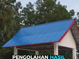 Pembangunan Kampung Nelayan Merah Putih (KNMP) di Kampung Doubo, Distrik Supiori Timur, Kabupaten Supiori, Papua, diarahkan
